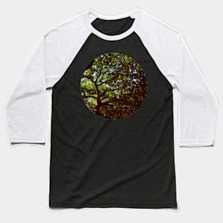 Oak Baseball T-Shirt